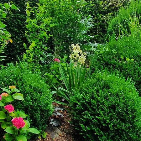 Maja Apartment Markdorf