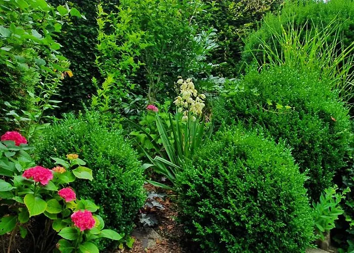 Maja Apartment Markdorf